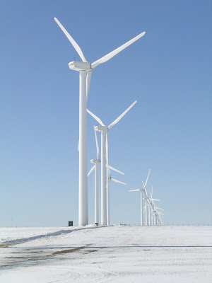 Wind in the winter
