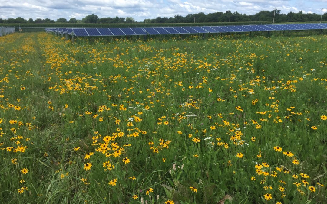 Landmark Day for Wisconsin Solar