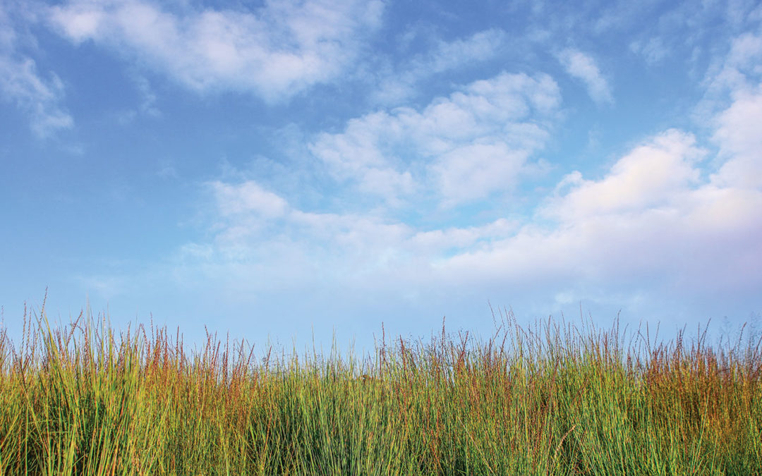 Clean Air Can Stay