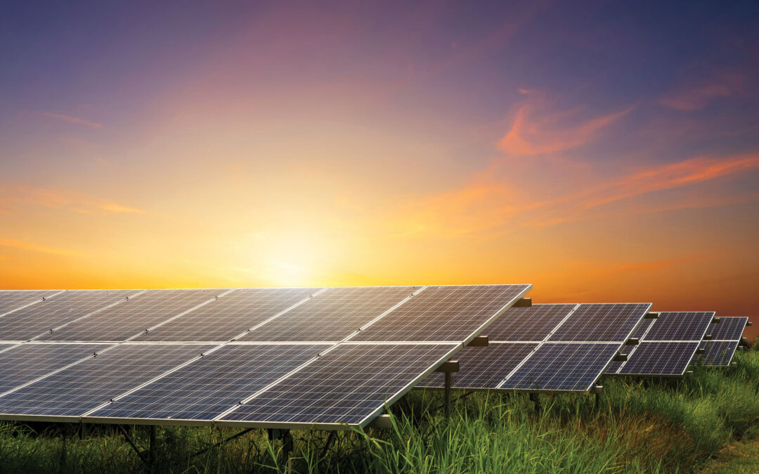 Renewable generation steps up during pandemic