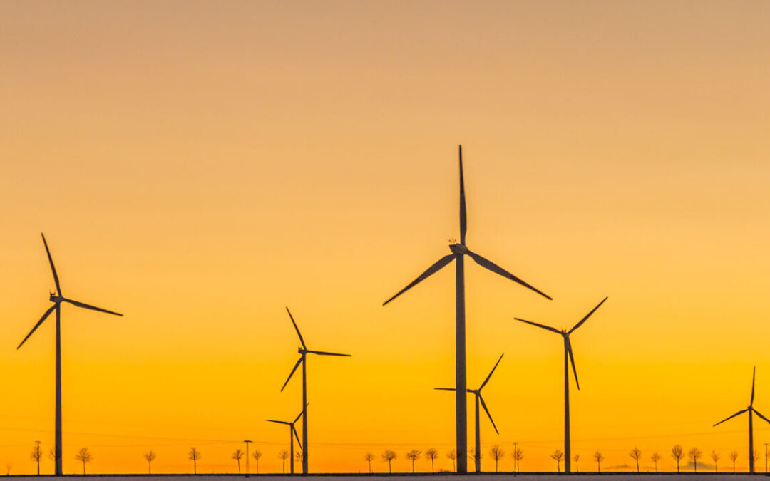 Texas shows we need more renewable energy, not less