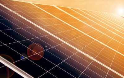Two Petitions Filed to Affirm Customer Access to Third Party-Financed Renewable Power Generated Onsite