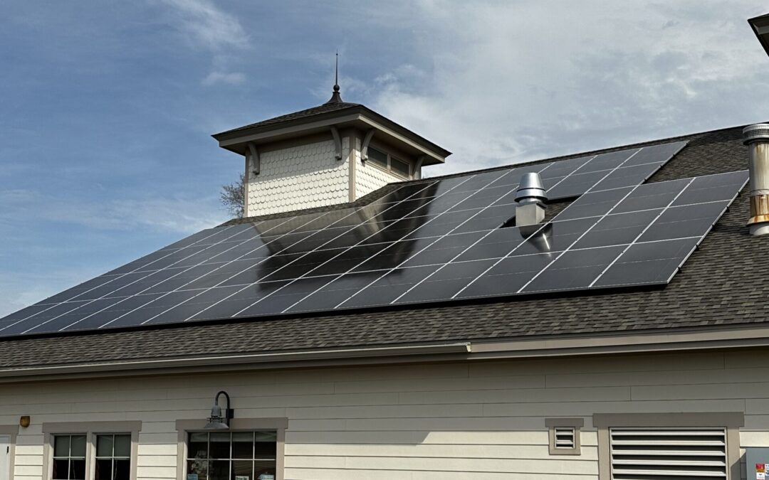 A New Chapter: Trempealeau Library Harnesses the Power of the Sun with New Solar Installation