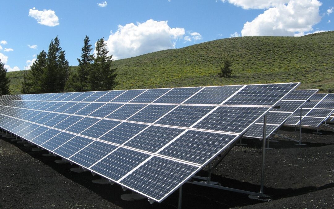 Trees, Ownership, or Finances Blocking Access to Solar Energy? No Problem with Community Solar- A Guest Blog