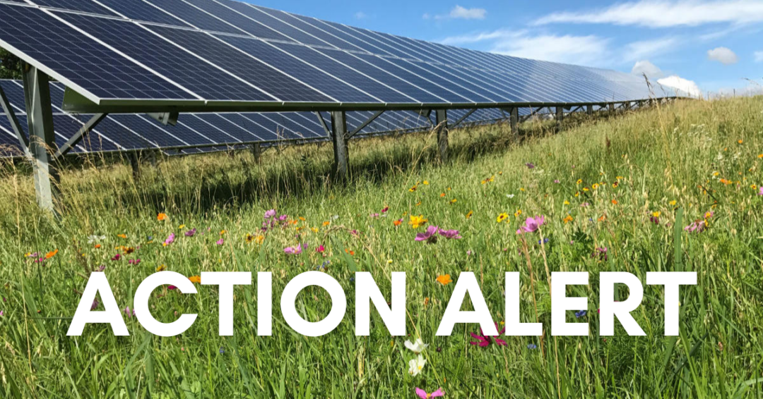 Potential Vista Sands Action Alert Graphics - RENEW Wisconsin