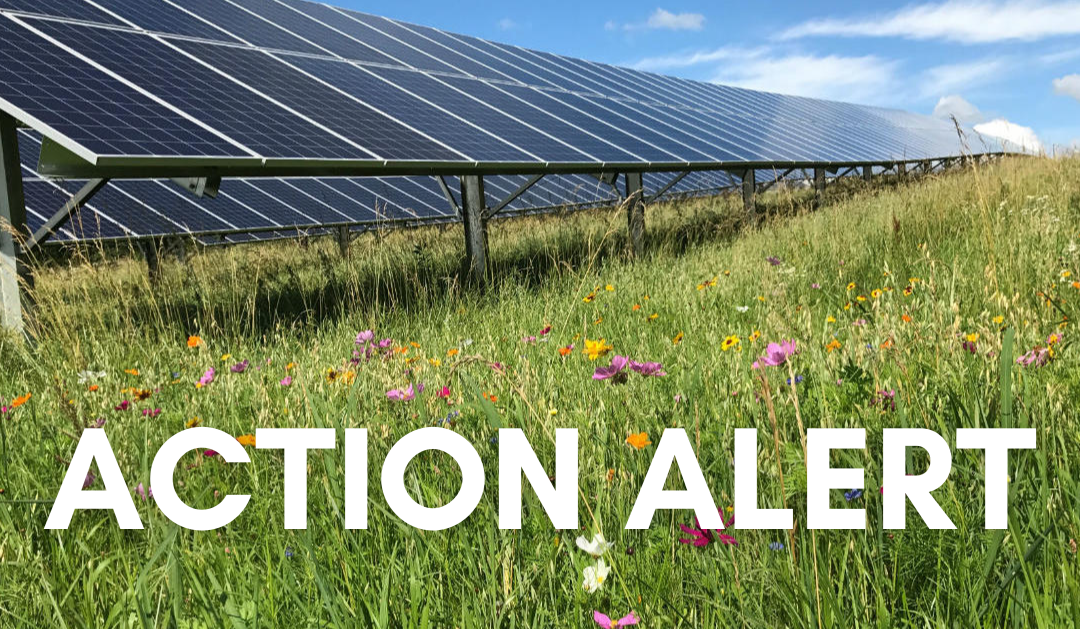 Action Alert: Show Support for Wisconsin’s Largest Solar Farm