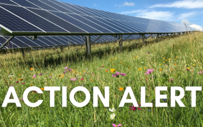 Action Alert: Vista Sands Solar Development At Risk