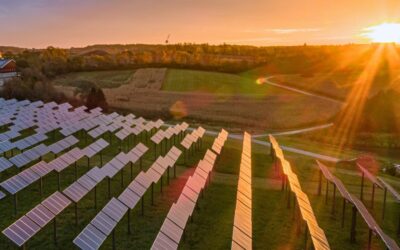 Better Together: How Community Engagement Improves Large-Scale Solar Projects