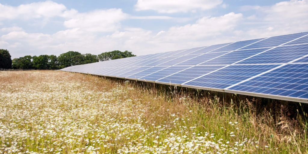Maple Grove Solar Approved by the Public Service Commission of ...
