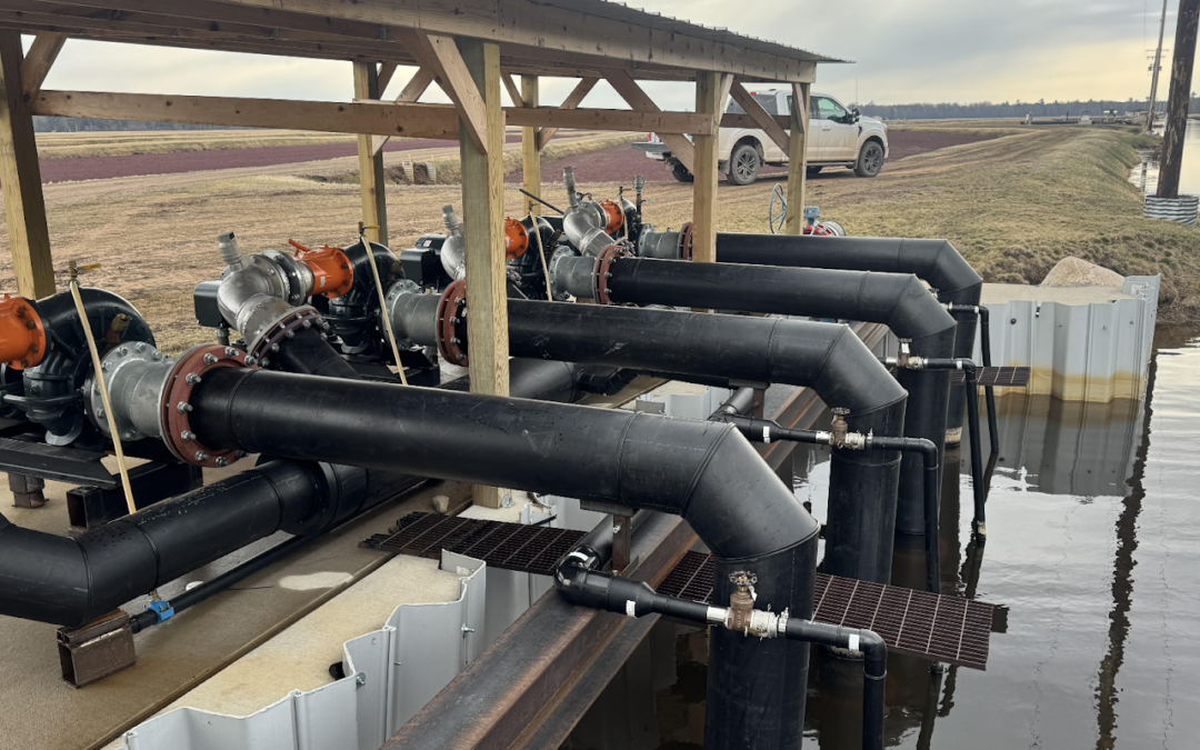 How a Fourth-Generation Wisconsin Cranberry Farm Electrified Its Operations to Power Family Traditions