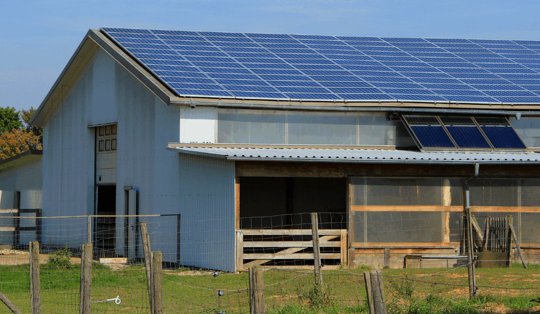 Why RENEW is Suing the USDA